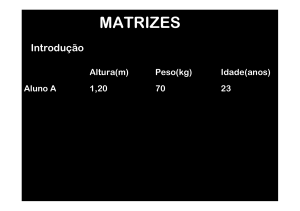 matrizes - parte 1
