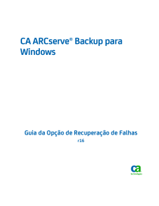 Guia da Opção de Recuperação de Falhas do CA ARCserve