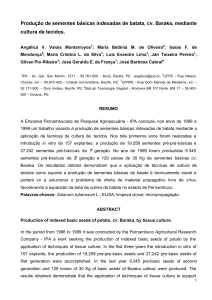 Produção de sementes básicas indexadas de batata, cv. Baraka