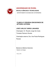 clinica e cirurgia em bovinos de aptidão leiteira josé carlos tarrio