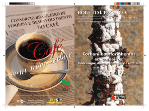 Cochonilhas Farinhentas em cafeeiros: bioecologia