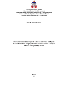 Prevalência da Rinotraqueíte Infecciosa Bovina (IBR)