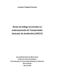 VAChT - Biblioteca Digital de Teses e Dissertações da UFMG