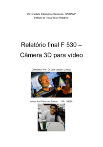 Relatório final F 530 – Câmera 3D para vídeo