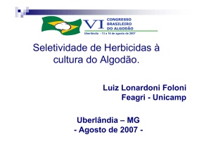 Seletividade de Herbicidas à cultura do Algodão.