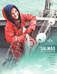 SALMÃO - Alaska Seafood