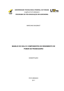 DissertaÃ§Ã£o Marciano-versao revista 8 ApÃ³s Banca