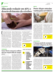 Zika pode reduzir em 40% o desenvolvimento do c&eacute;rebro Porto