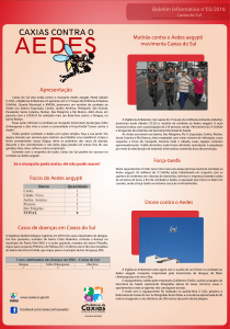 Boletim Informativo n° 03/2016