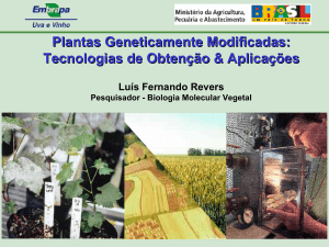 Plantas geneticamente modificadas