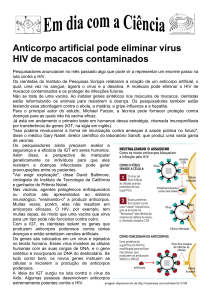 Anticorpo artificial pode eliminar vírus HIV de macacos contaminados