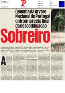 Genoma da Árvore Nacional de Portugal entrou na recta final da