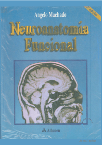 livro-neuroanatomia-funcional-machado