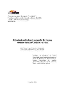7.12 detec&ccedil;&atilde;o de virose por Aedes 