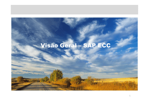 365281686-SAP-ECC- Visão inicial