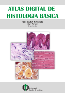 Atlas Digital de Histologia Básica - UEL - 1º edição