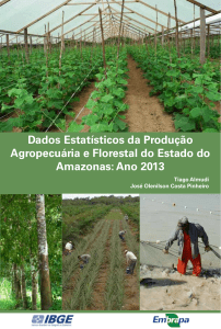 Almudi, Pinheiro - 2015 - Dados Estatísticos da Produção Agropecuária e Florestal do Estado do Amazonas Ano 2013