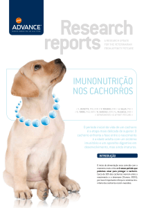 AFP - RR Inmunonutrición cachorros