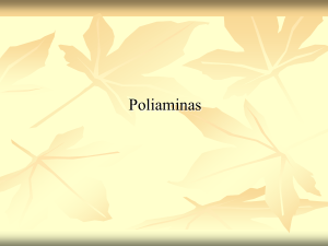 Poliaminas