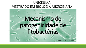 Mecanismo de patogenicidade de bactérias fitopatogênicas