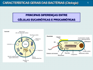 3- Caracteristicas Gerais das Bacterias -Citologia- 01-2017