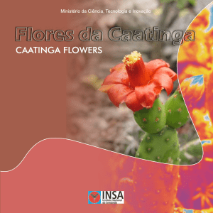 Flores-da-caatinga