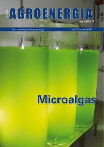 Agroenergia-Revista-microalgas-ed10-red