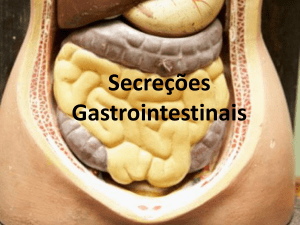 Secreções gastrointestinais
