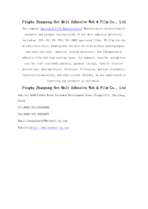 Pinghu Zhanpeng Hot Melt Adhesive Web & Film Co., Ltd