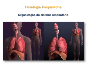 Sistema-respiratório-1