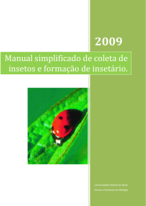 Captura de inseto e confecção de insetário