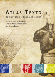 [PT] Atlas Texto de Anatomia Humana Aplicada, 1ª ed. - A. Filho; A. Leitão; J. Bruno