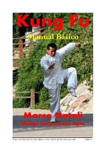 manual básico do kung fu - Marco Natali