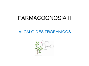 Alcaloides Tropanicos (3)