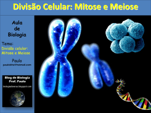 Aula mitose e meiose aneuploidias