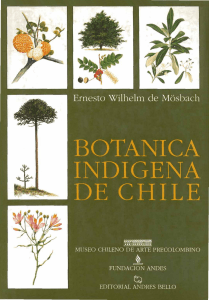 Botanica indigena de Chile