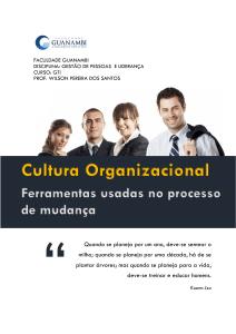 Cultura Organizacional - Ferramentas usadas no processo de mudança