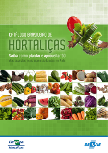 Catalogo hortalicas