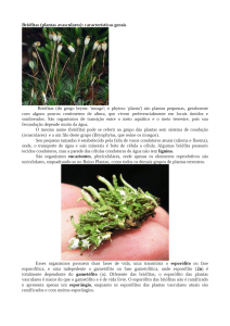 Briófitas (plantas avasculares)  características gerais - PDF