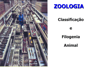 2t.-classificacao-e-filogenia-2015