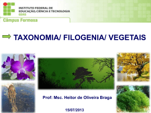taxonomiasistemticaeprincipaisgruposdealgasevegetais-130716174206-phpapp02