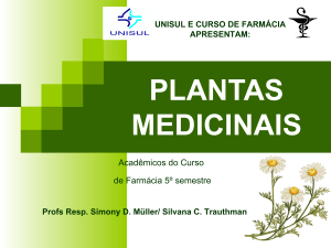 Apresentação-plantasmedicinais-120417125548-phpapp01