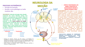 NEUROLOGIA DA MICÇÃO