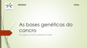 As bases genéticas do cancro