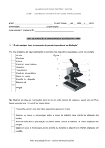380732859-15899105-Teste-avaliacao-microscopio-celula-classificacao-SV-5º-ano-doc