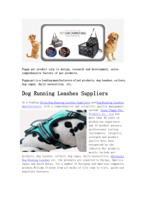 Dog Muzzle Suppliers