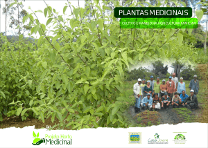 Cartilha Plantas medicinais - cultivo e manejo na agrucultura familiar