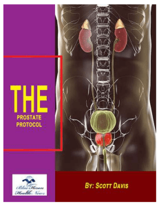 The Prostate Protocol™ Free PDF eBook Download