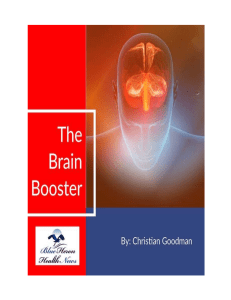Christian Goodman Program - The Brain Booster™ eBook PDF