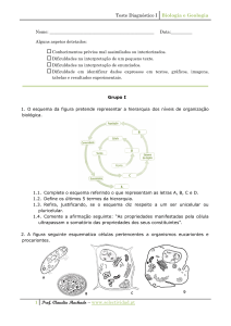 bg 11ºano teste diagnostico